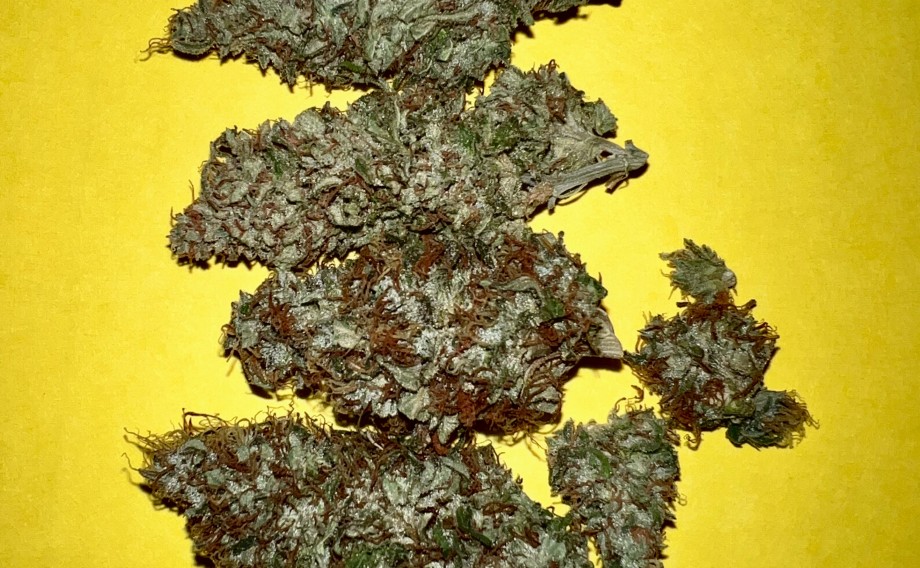 Gelato X Bubba Kush Flower Flower Oklahomas B2B Cannabis Classifieds